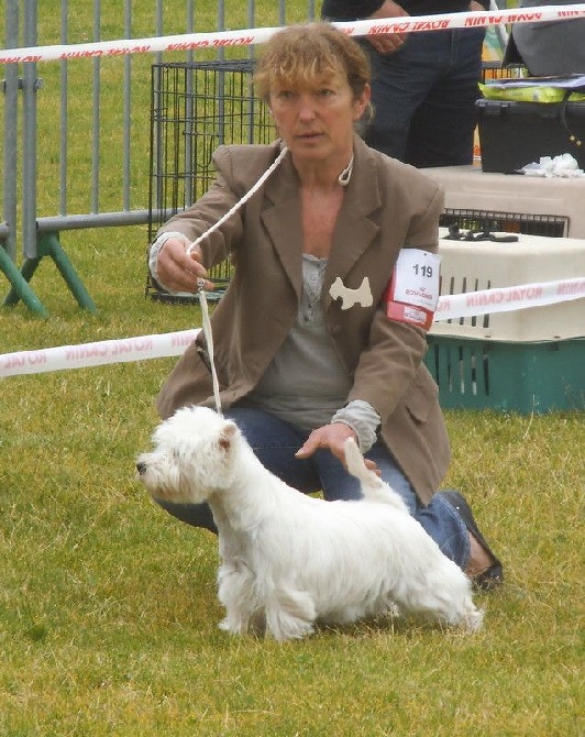 du Moulin de la Seigneurie - Java Meilleur Puppy de Race à Herm 