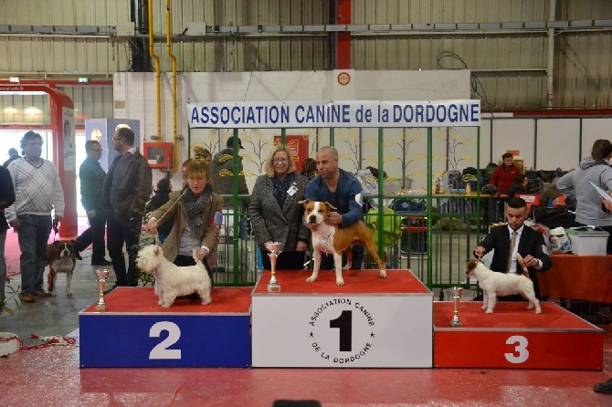 du Moulin de la Seigneurie - Java Meilleur Jeune à Perigueux le 12 mars et 2èm sur le podium