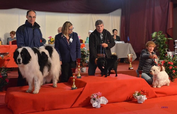 du Moulin de la Seigneurie - Aldo de retour sur les rings ! 3èm sur le Podium à Vallères le 22 Mai